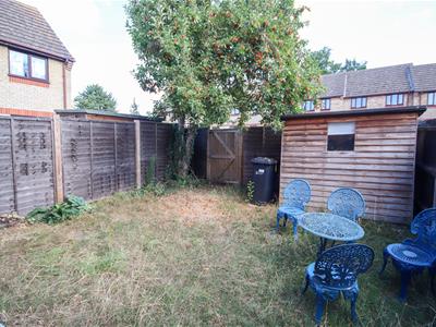Picture 8